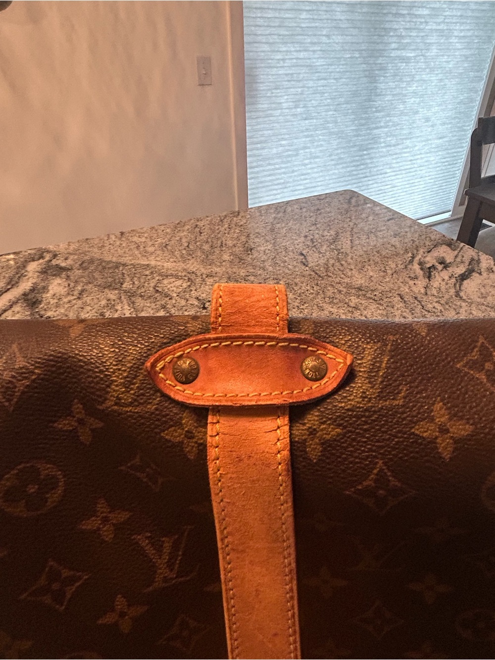 Vintage 1999 Louis Vuitton Saumer 30  Dual Compartment Saddlebag with COA - Picture 6 of 12